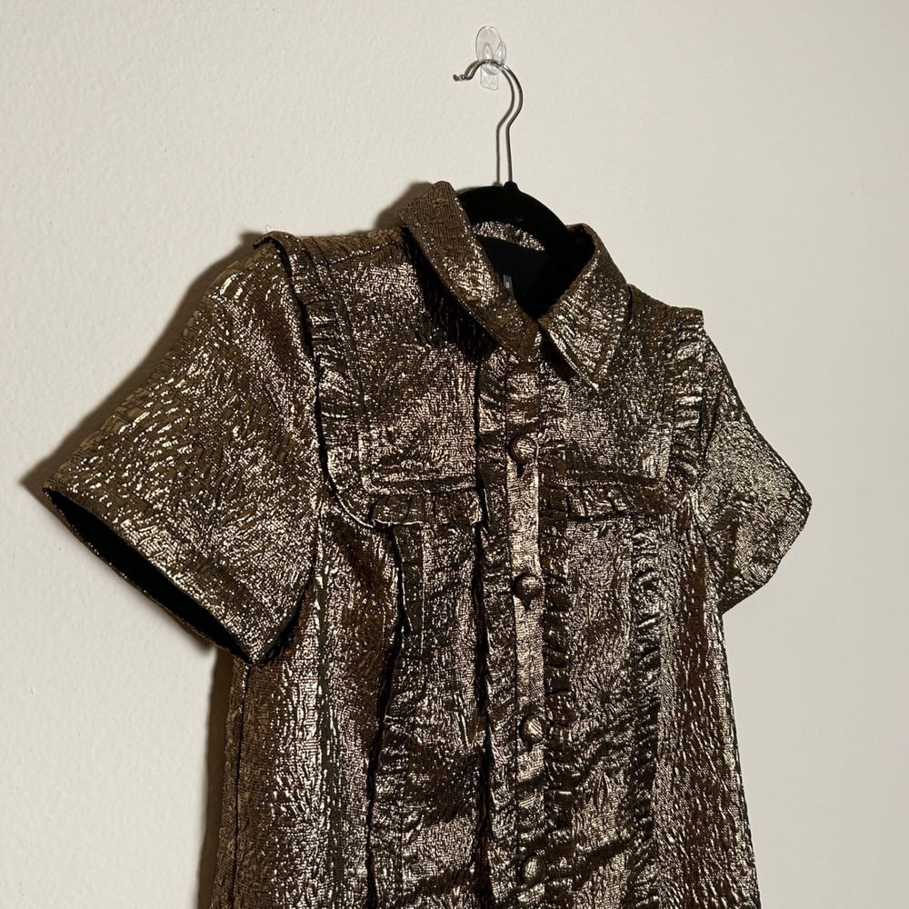 NWT By Anthropologie Short Sleeve Metallic Golden Pewter Brocade Mini Dress XXS